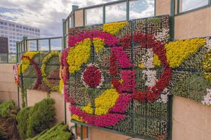 Image post by @fiddlersgreenco on Instagram