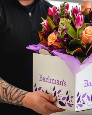 Image post by @shopbachmans on Instagram