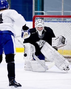 Image post by @predsncdc on Instagram