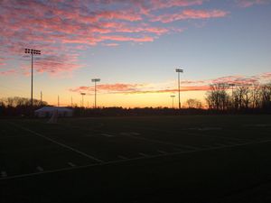 Image post by @nxt_showcase on Instagram