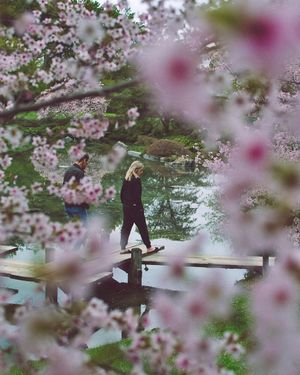 Image post by @mtl_unscripted on Instagram