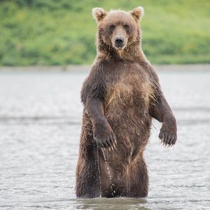 Image post by @discovery on Instagram