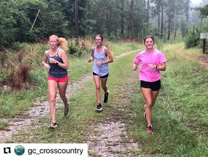 Image post by @gcsubobcats on Instagram
