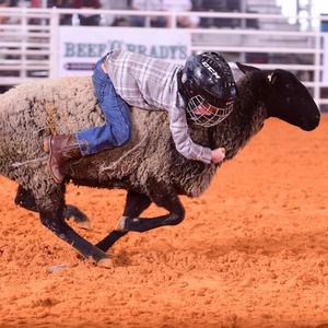 Image post by @arcadiarodeo on Instagram