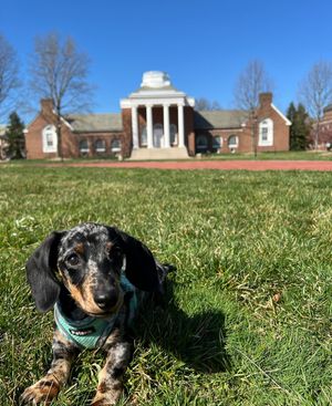 Image post by @udelaware on Instagram