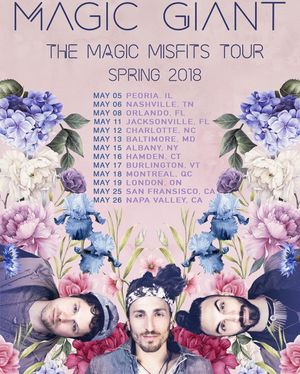 Image post by @magicgiant on Instagram