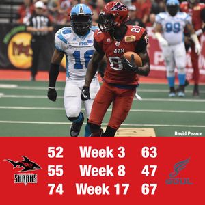Image post by @jaxsharks on Instagram