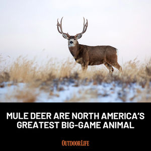 Image post by @outdoor_life on Instagram