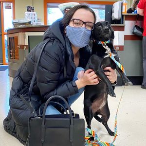 Image post by @spokhumanesoc on Instagram