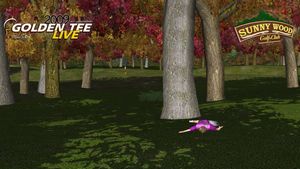 Image post by @GoldenTee on Facebook