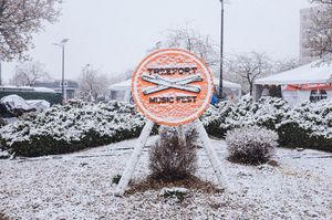 Image post by @treefortfest on Instagram