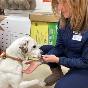 Image post by @spokhumanesoc on Instagram