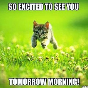 Image post by @mclainhighschool on Instagram