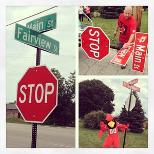 Image post by @isuredbirds on Instagram