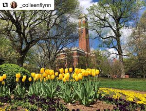 Image post by @vanderbiltalumni on Instagram