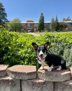 Image post by @nauflagstaff on Instagram