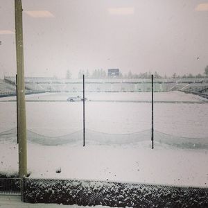 Image post by @hofstra_wlax on Instagram