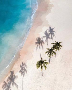 Image post by @dronepals on Instagram