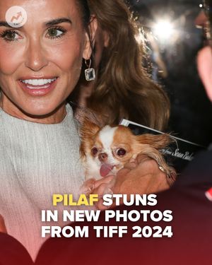 Image post by @buzzfeedcanada on Instagram