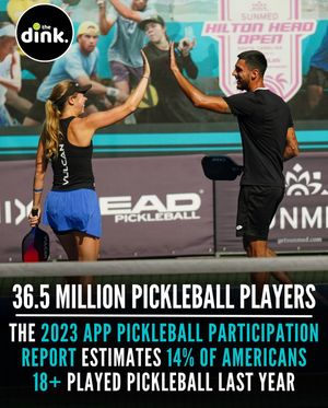 Image post by @thedinkpickleball on Instagram