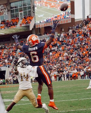 Image post by @cutigervision on Instagram