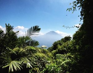 Image post by @mmhammond on Instagram
