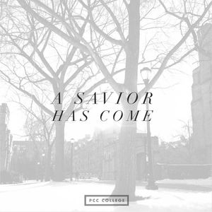 Image post by @pcc_youngadults on Instagram