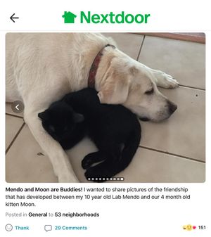 Image post by @nextdoor on Instagram