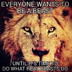 Image post by @ssphoops on Instagram