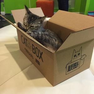 Image post by @animalplanet on Instagram