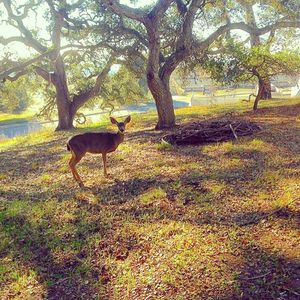 Image post by @ucsc on Instagram