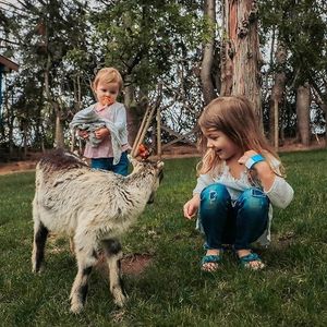 Image post by @tourismabbotsford on Instagram