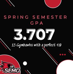 Image post by @semogymnastics on Instagram