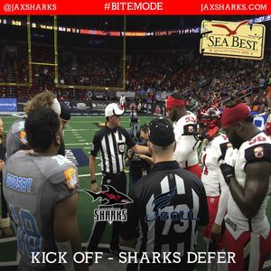 Image post by @jaxsharks on Instagram
