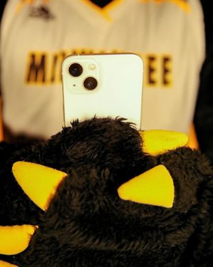 Image post by @mkepanthers on Instagram
