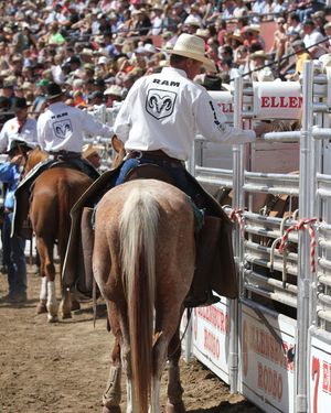 Image post by @ellensburgrodeo on Instagram