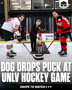 Image post by @hockeyhousepod on Instagram