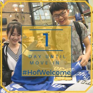 Image post by @hofstrau on Instagram