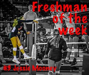 Image post by @valdostastatevolleyball on Instagram