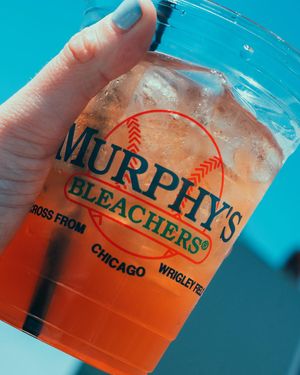 Image post by @murphysbleachers on Instagram
