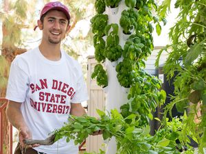 Image post by @sdsuadmissions on Instagram