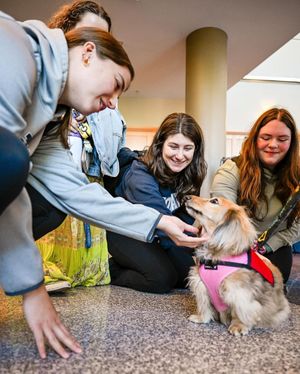 Image post by @moravianuniversity on Instagram
