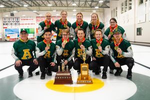 Image post by @bearsandpandas on Instagram