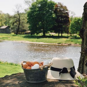 Image post by @conestoga_eggs on Instagram