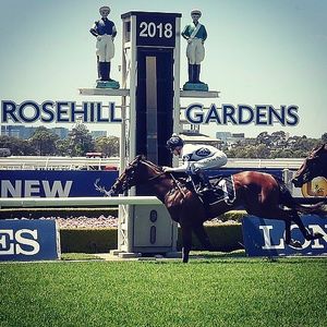 Image post by @australianturfclub on Instagram