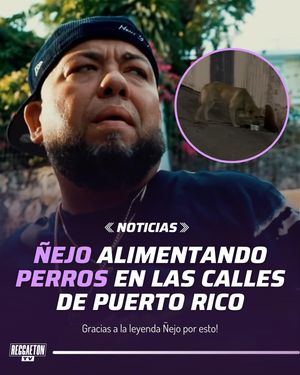 Image post by @reggaetontv on Instagram