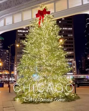 Image post by @chicago.explore on Instagram
