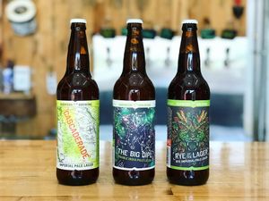 Image post by @sudwerkbrew on Instagram
