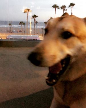Image post by @chief.stagram on Instagram