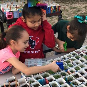 Image post by @kidsgardening on Instagram